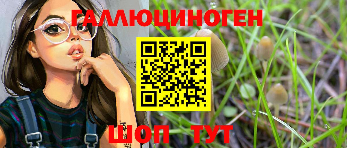 Псилоцибиновые грибы MAGIC MUSHROOMS Мыски
