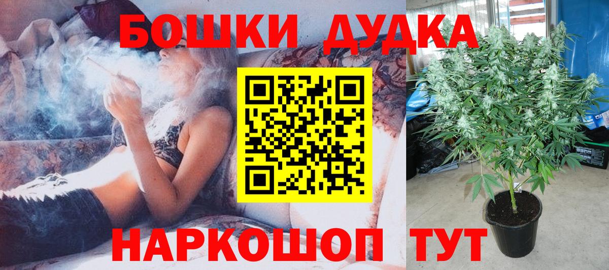 Бошки Шишки ГИДРОПОН Мыски